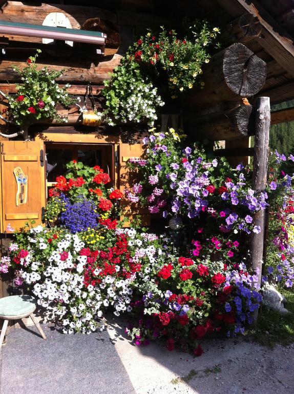 Andrea Schmaranzer - Privatzimmer Gosau Luaran gambar